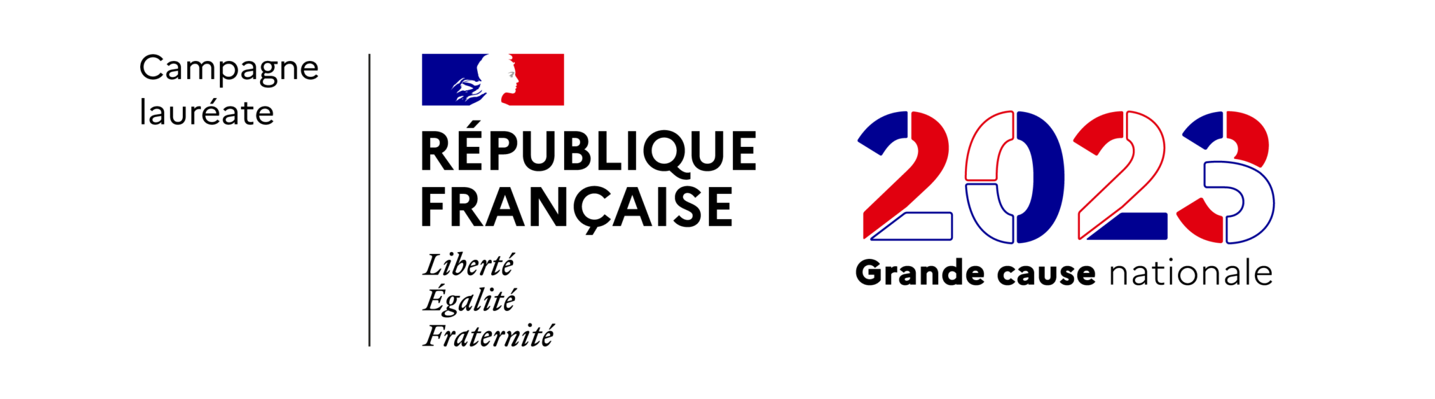 Grande Cause Nationale Le Mentorat